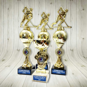 Награды турнир по хоккею