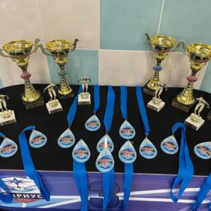 Федерация плавания