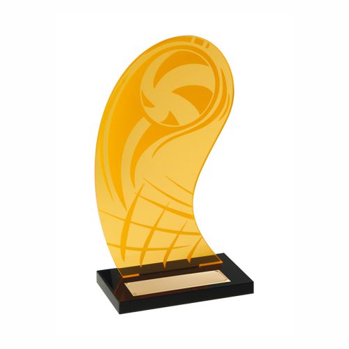 Награда «Волейбол» акриловая